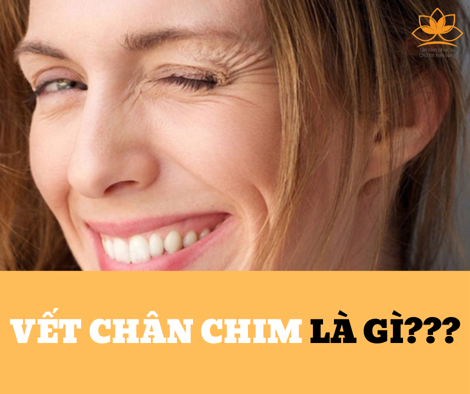 NẾP CHÂN CHIM-SỰ LÃO HÓA